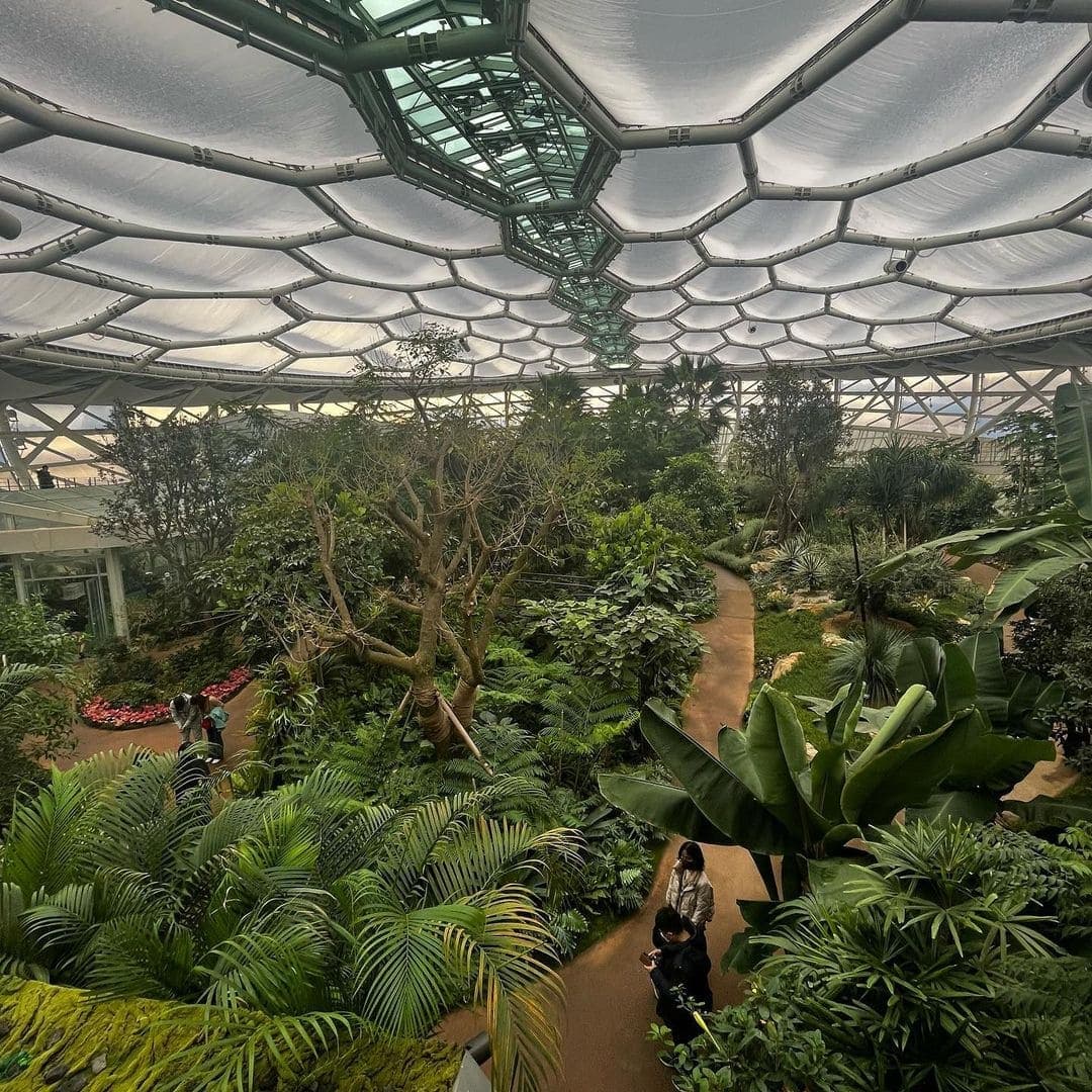 Explorando el Encantador Bucheon Lake Botanic Park en Corea